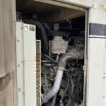 Image (Small)